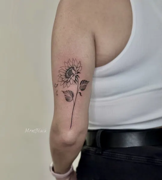 Flower, Rose, 얼굴, 펑크, 다루마, 남성, 소년, 한야, 게이샤