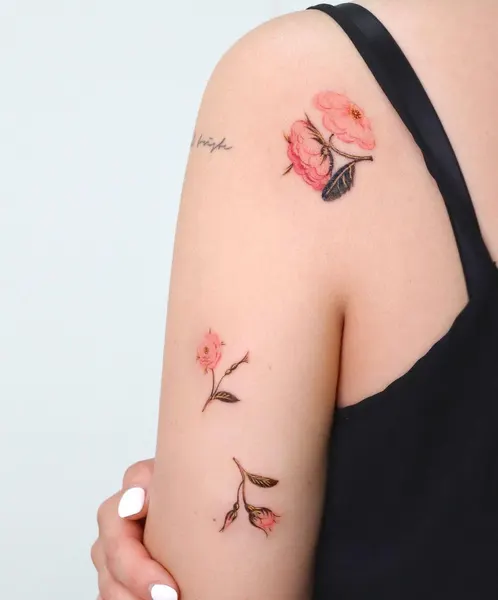 Flower, Rose