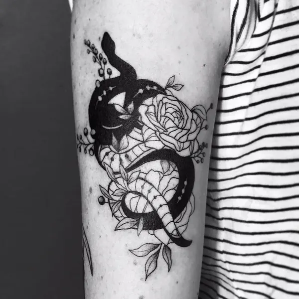 Dragon, 거북이