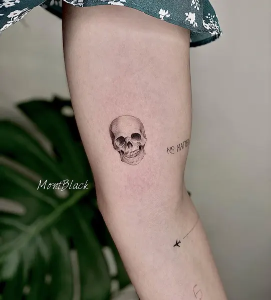뼈, Skull