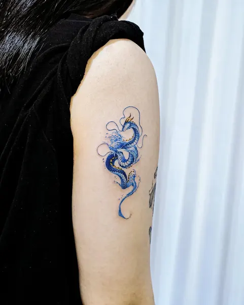 Dragon, 문어, 해파리, 전갈자리