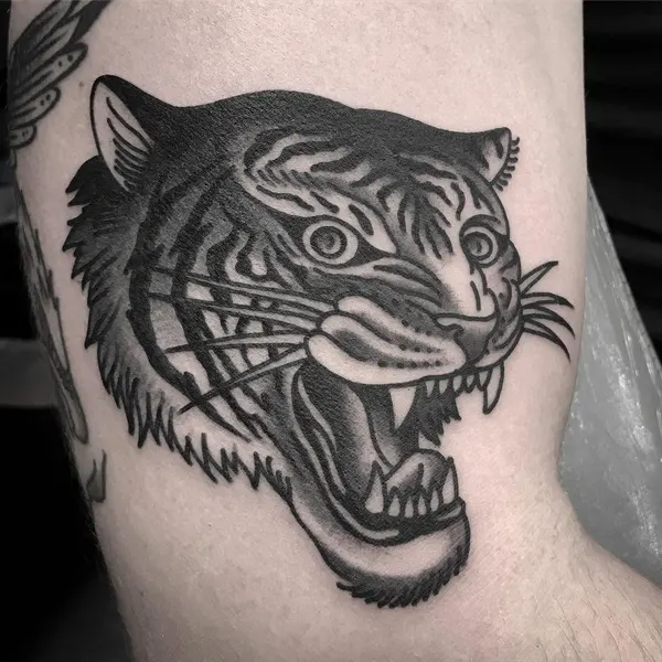 Tiger, 재규어