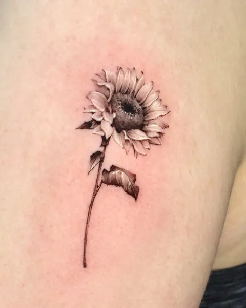 Flower, 국화, 데이지, 민들레, 해바라기