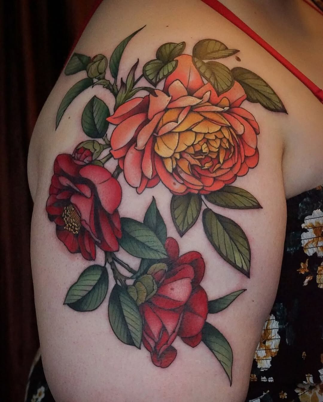 Flower, Rose, Nature