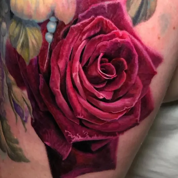 Flower, Rose