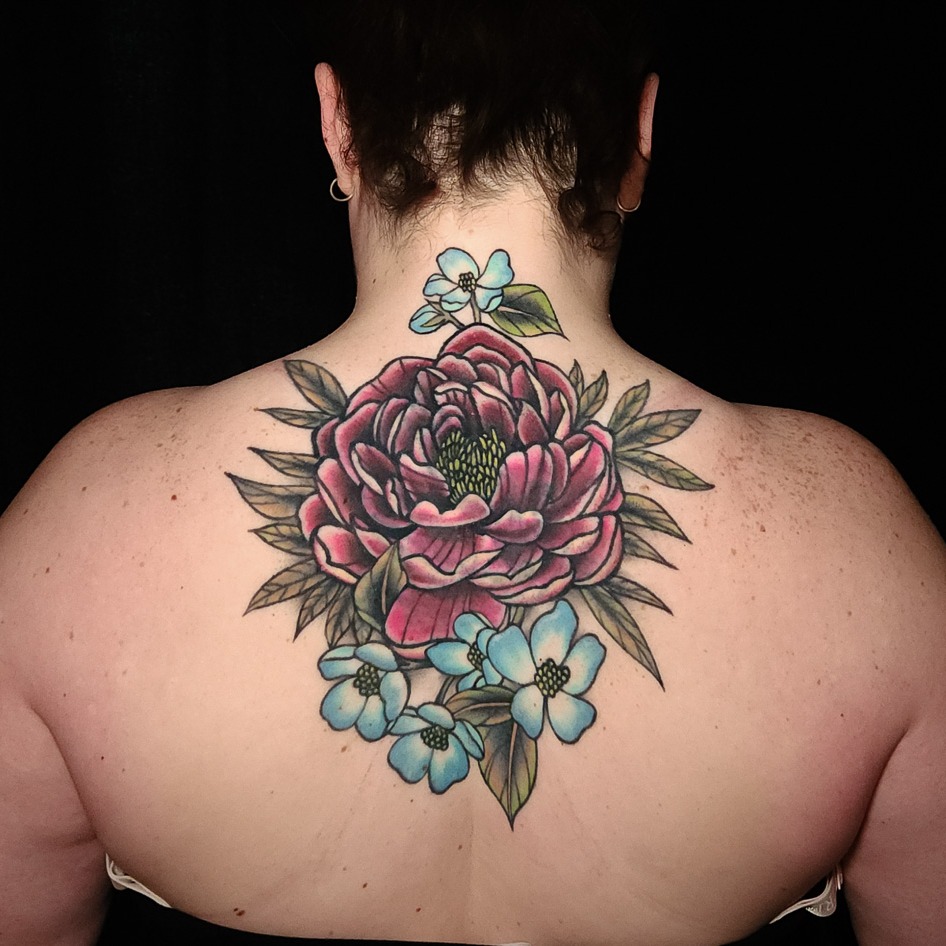 Flower, Nature, Rose