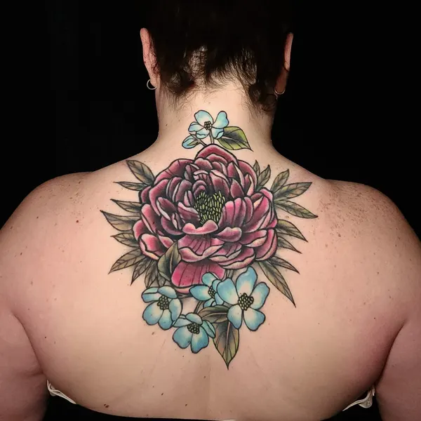Flower, Nature, Rose