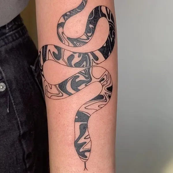 Dragon, Snake