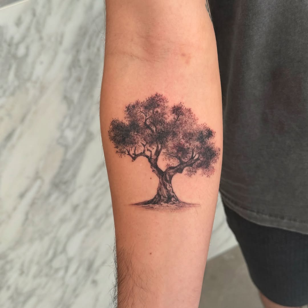 Nature, 나무, 소나무