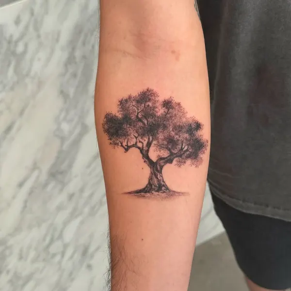 Nature, 나무, 소나무