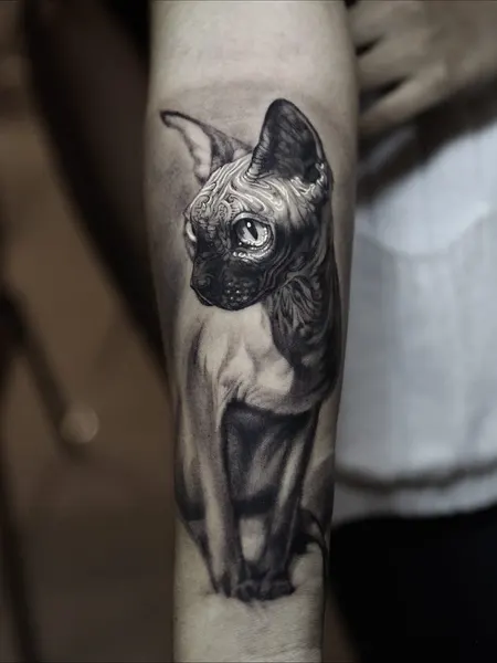 stevebutchertattoos