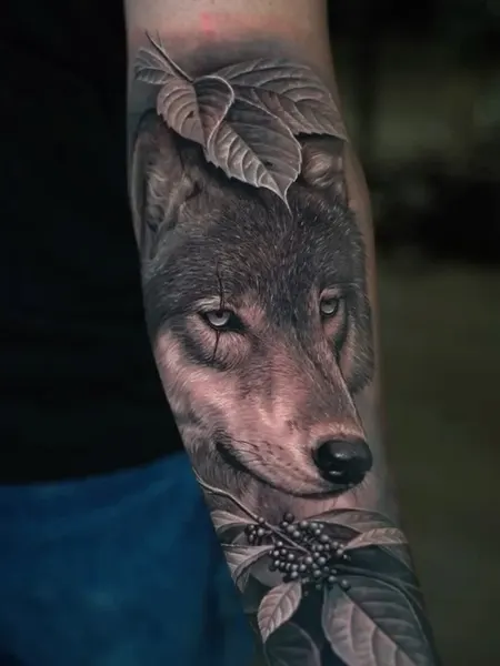 Tiger, Animal, 고릴라