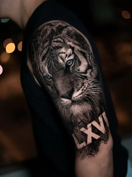 Animal, Nature