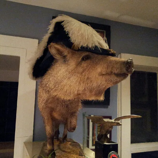 Animal