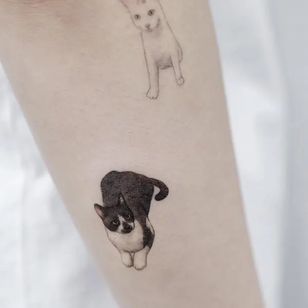 쥐