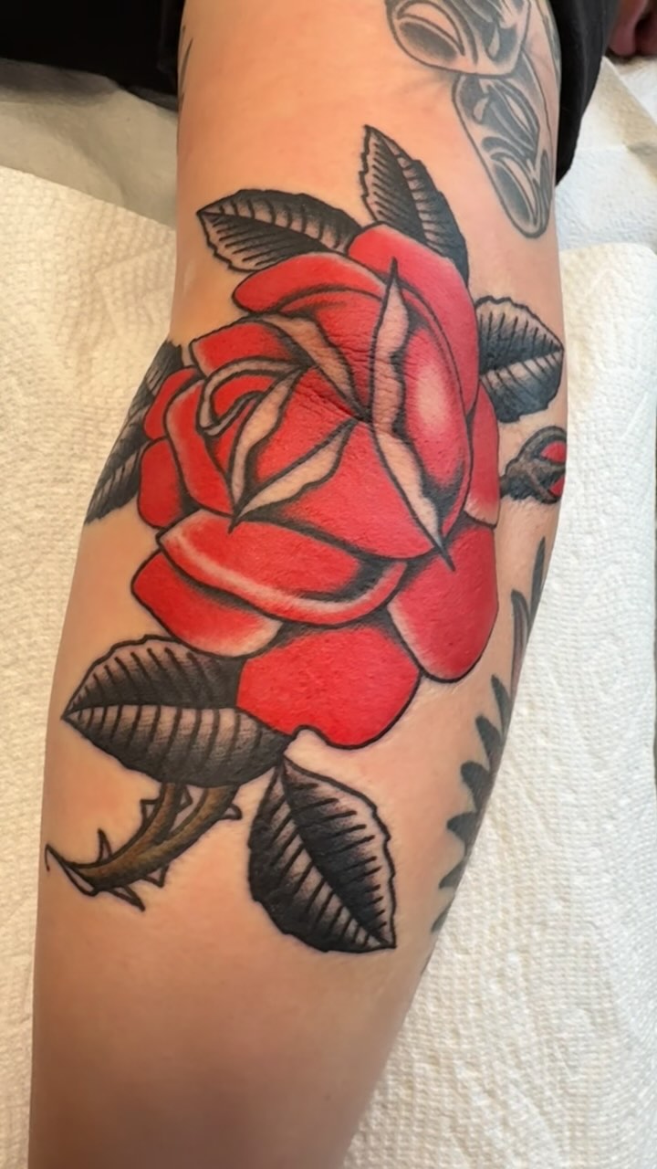 Flower, Rose