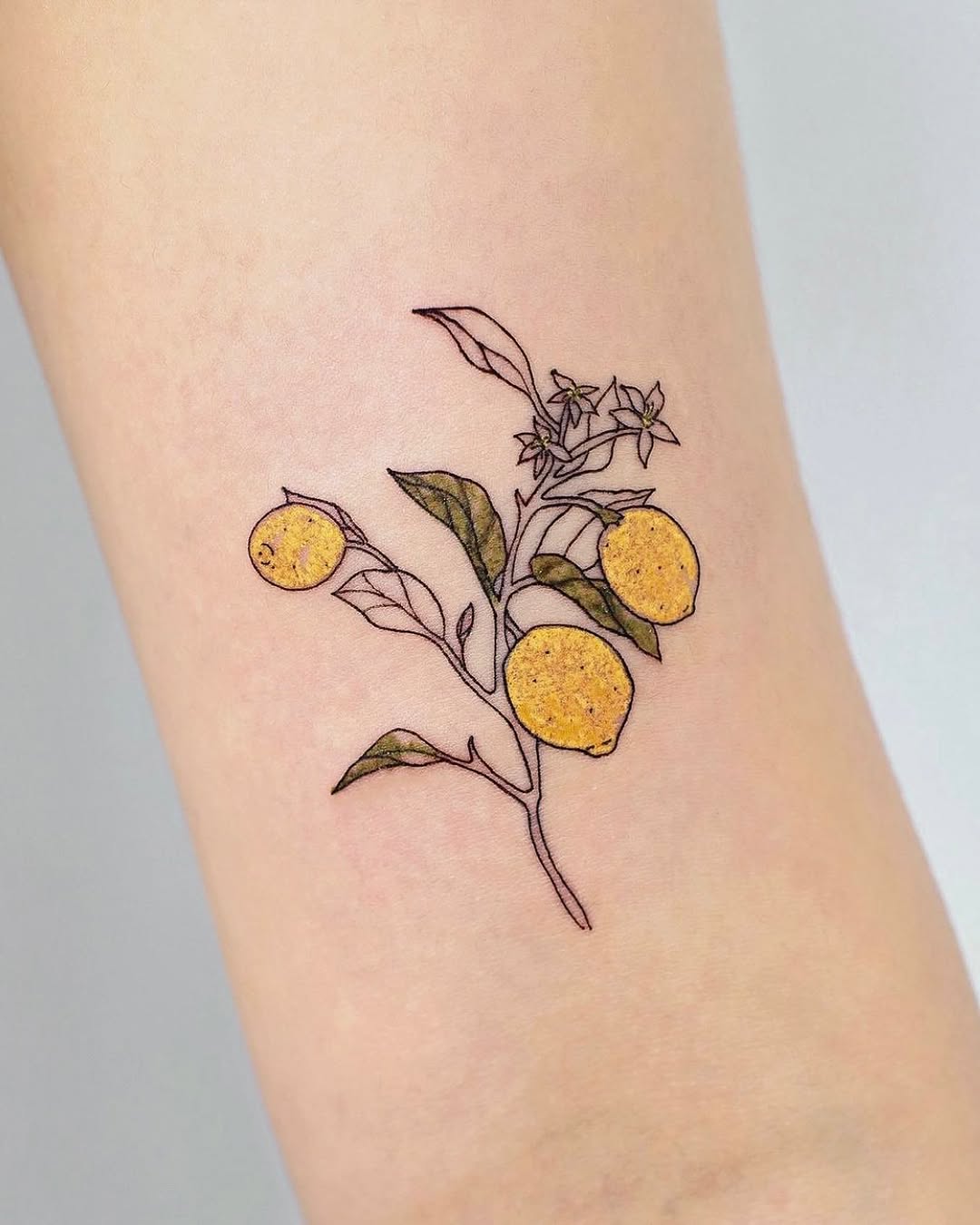 Rose, Flower