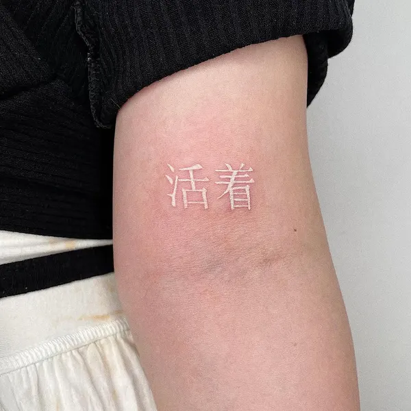 Lettering, 띠, 한자, 우키요에, 일본어 레터링, 한글 레터링, 한자 레터링, 오니, 한국, 사각형