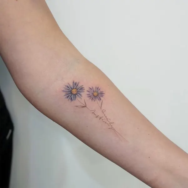 Flower, 데이지, 민들레, 야생화, 카네이션, 해바라기, 국화