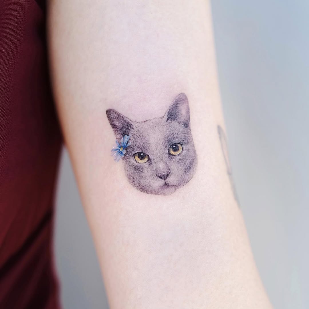 고양이, 카타나, 마네키네코, 여우 가면, 텐구