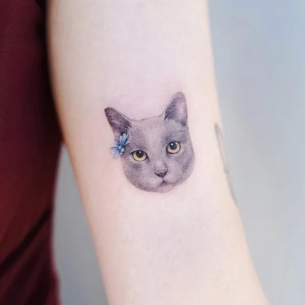 고양이, 카타나, 마네키네코, 여우 가면, 텐구