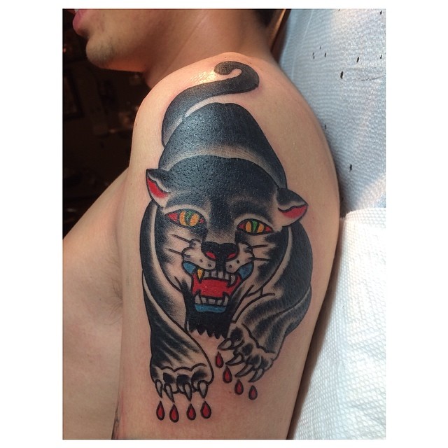 Tiger, Animal
