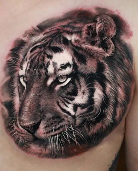 Tiger, 중국 호랑이