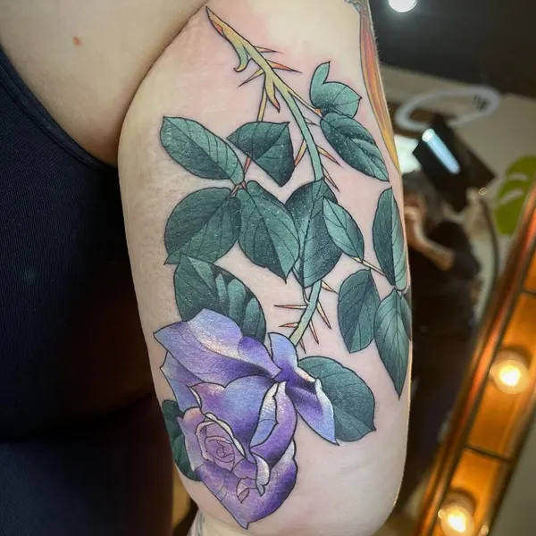 Flower, Rose, Nature
