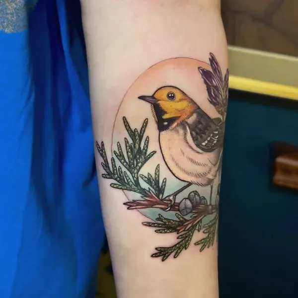 공작, 새, Animal