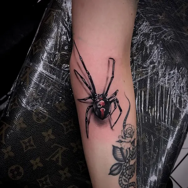 Animal, 거미