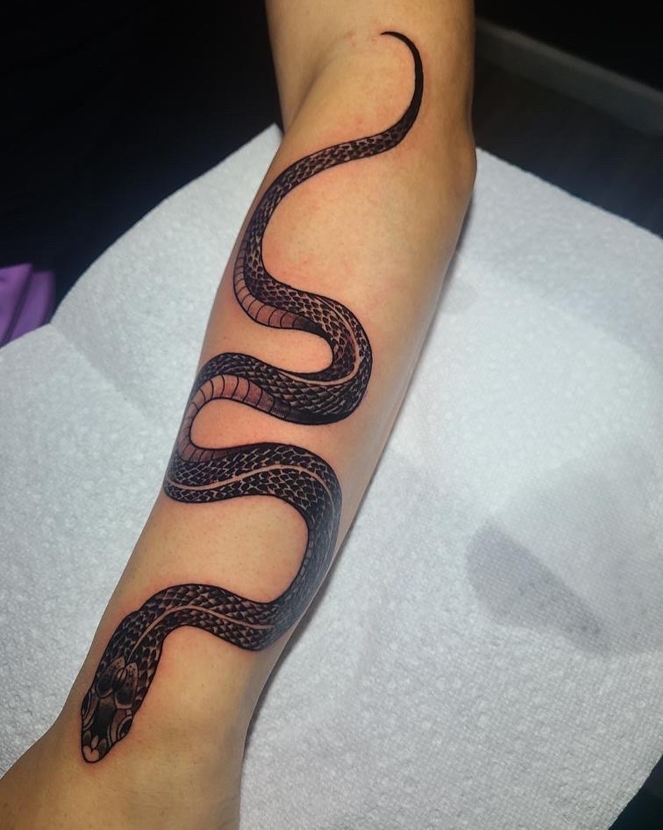 Dragon, 지네, Snake