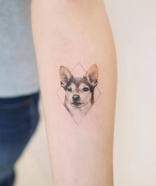 여우, 강아지