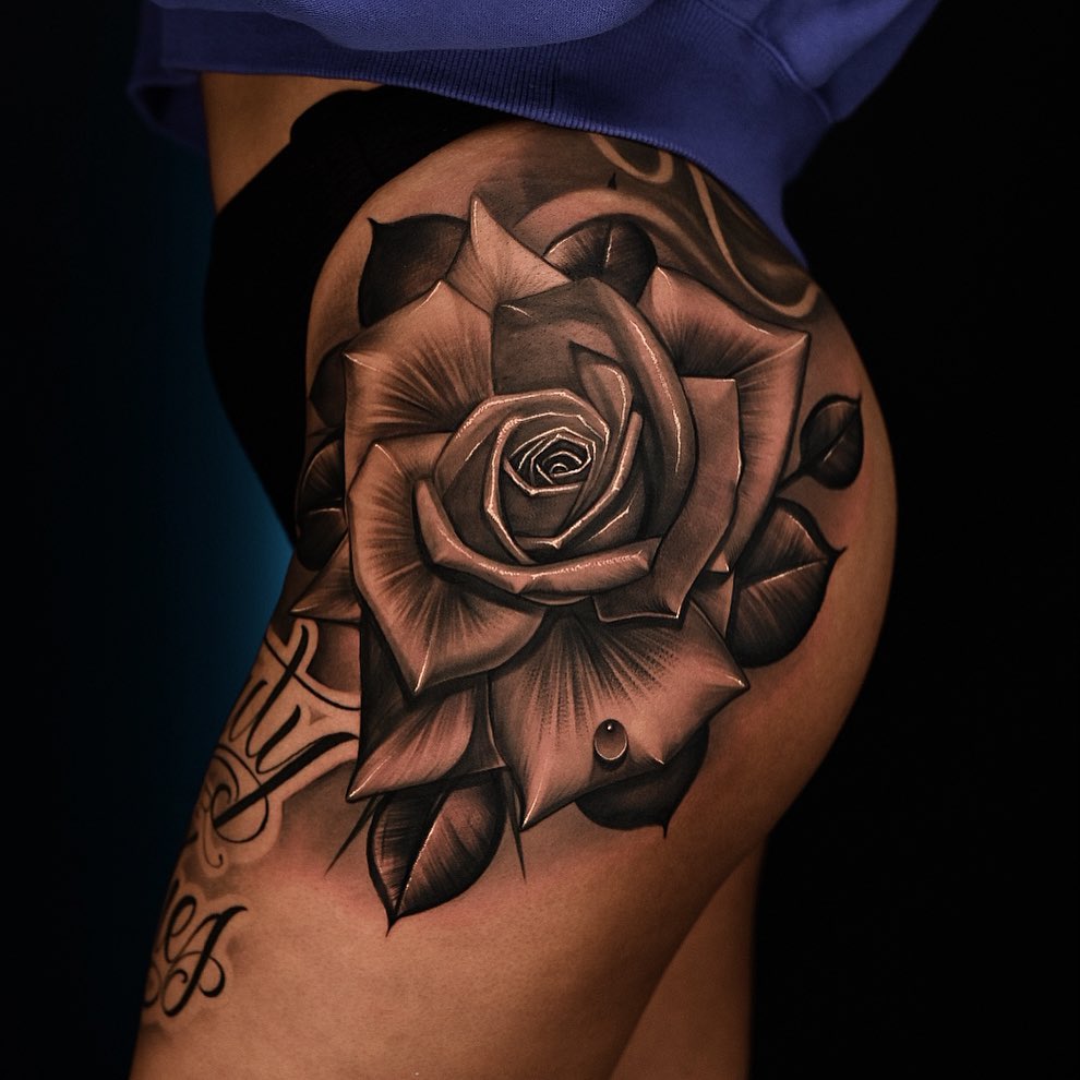 Flower, Rose