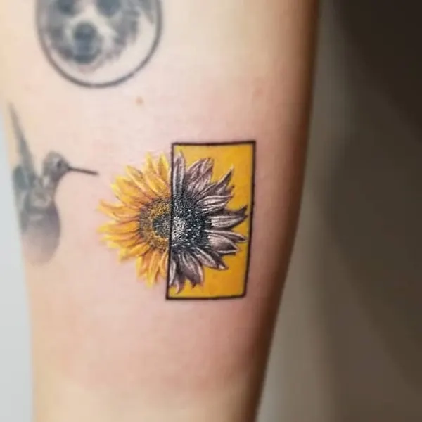 Flower, 해바라기, 데이지, 수선화