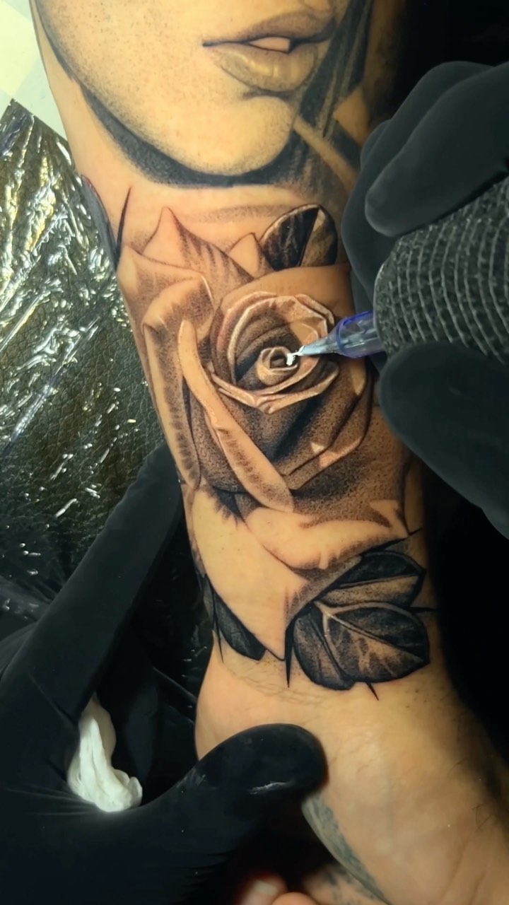 Flower, Rose