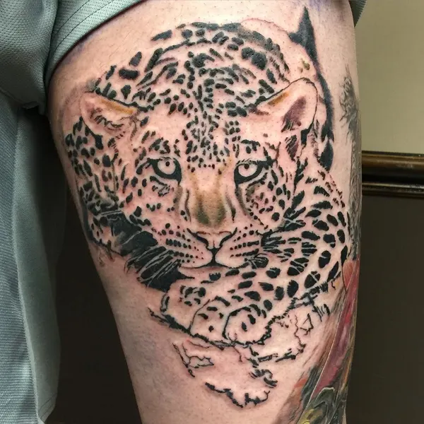 Animal, 치타, 표범