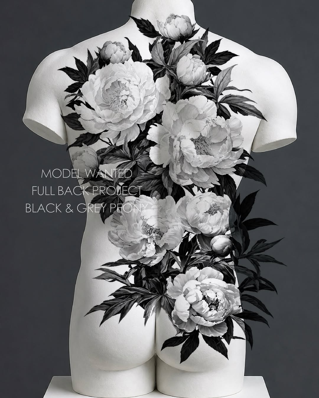 Flower, Nature, Rose