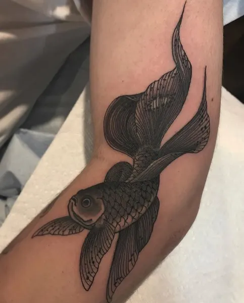 Animal, 백조
