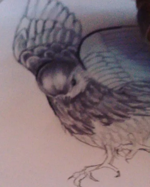 Circa Tattoo