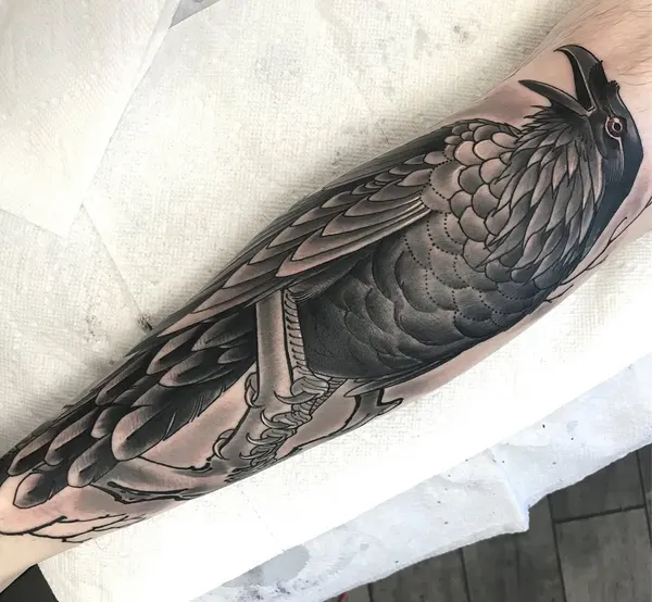 Animal