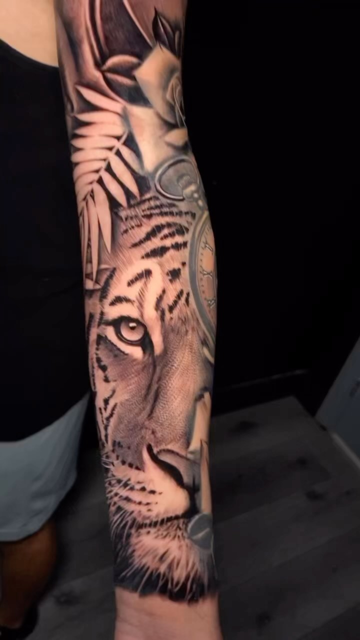 Tiger, 치타