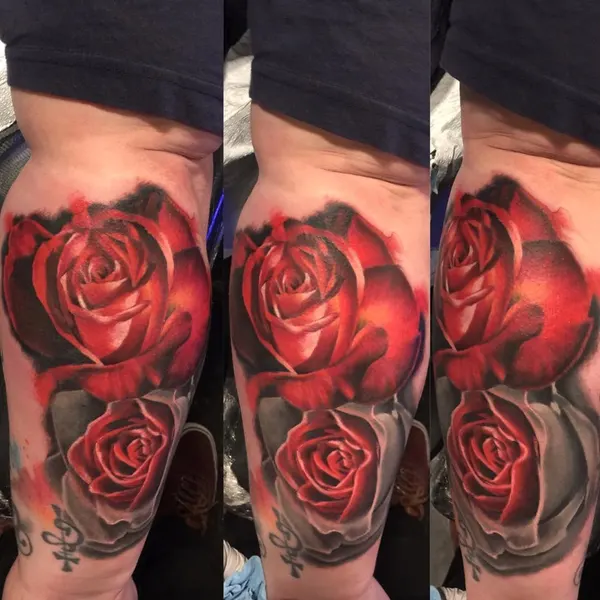 Flower, Rose