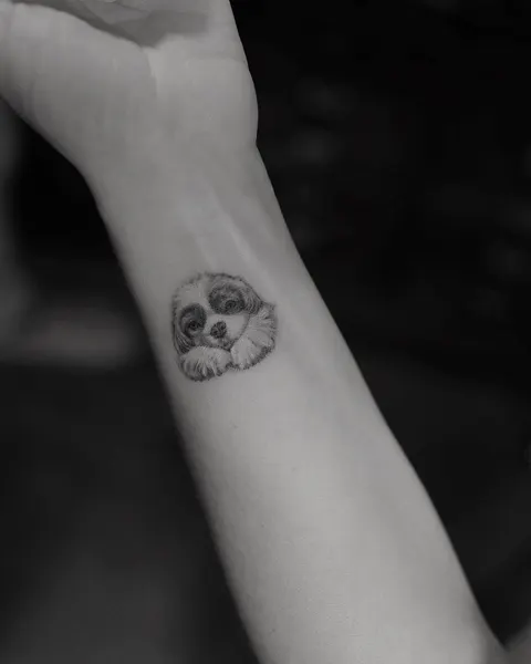 Animal, 개구리