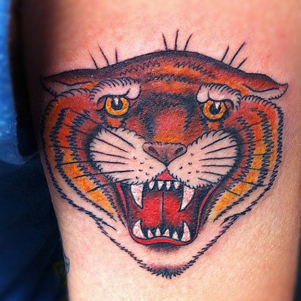 Tiger, 한국 호랑이