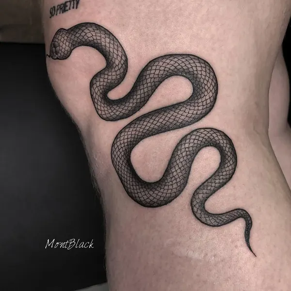 Dragon, 체인, Snake