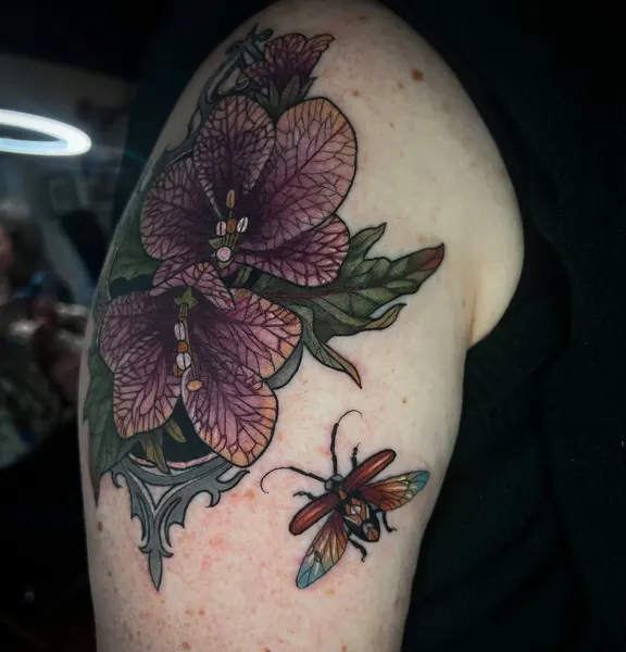 Flower, Rose, 히비스커스
