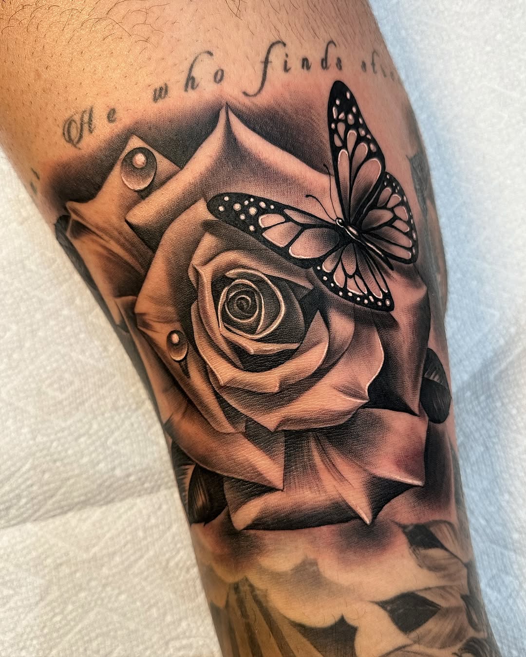 Flower, Animal, Nature
