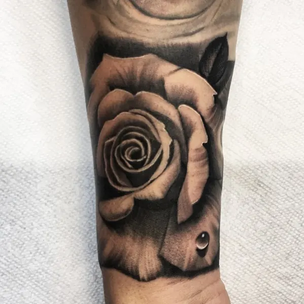 Flower, Rose
