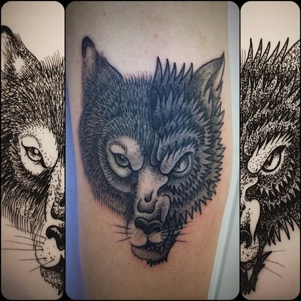 Animal, Tiger