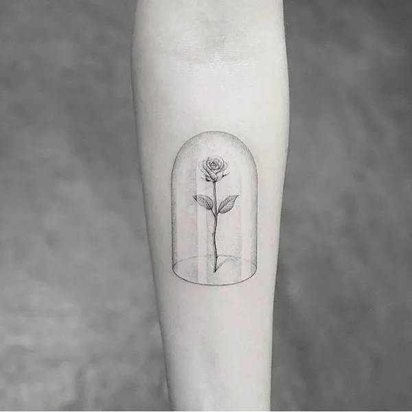 Flower, Rose